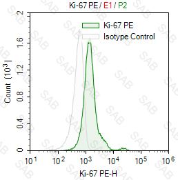 PE anti-human Ki-67