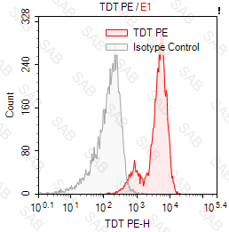 PE anti-human TDT