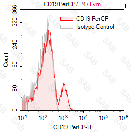 PerCP anti-human CD19