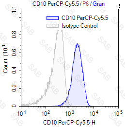 PerCP-Cy5.5 anti-human CD10