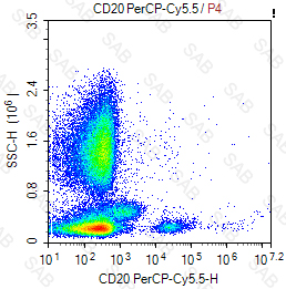 PerCP-Cy5.5 anti-human CD20