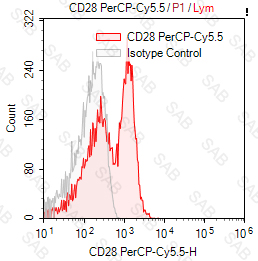 PerCP-Cy5.5 anti-human CD28