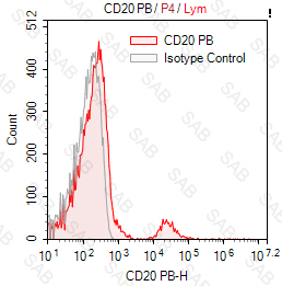 Pacific Blue anti-human CD20