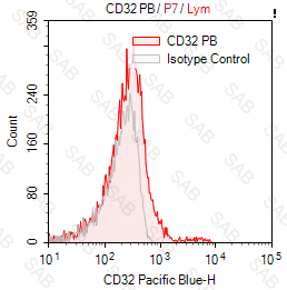 Pacific Blue anti-human CD32