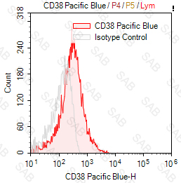 Pacific Blue anti-human CD38