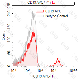 APC anti-human CD19