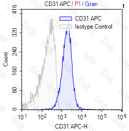 APC anti-human CD31