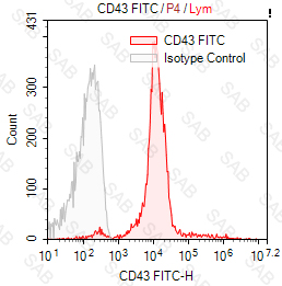 FITC anti-human CD43