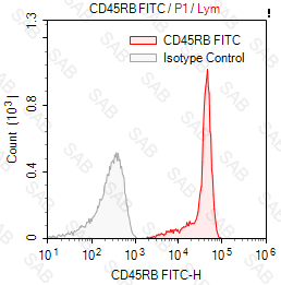 FITC anti-human CD45RB