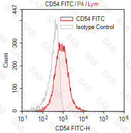 FITC anti-human CD54