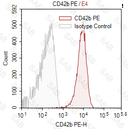 PE anti-human CD42b