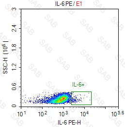 PE anti-human IL-6