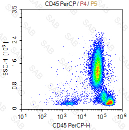 PerCP anti-human CD45