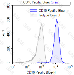 Pacific Blue anti-human CD10