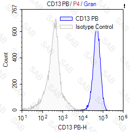 Pacific Blue anti-human CD13