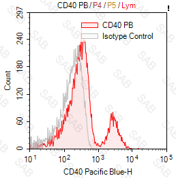 Pacific Blue anti-human CD40