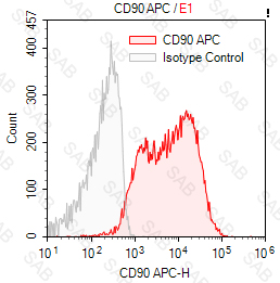 APC anti-human CD90