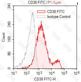 FITC anti-human CD38