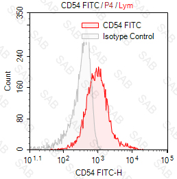 FITC anti-human CD54