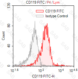 FITC anti-human CD119