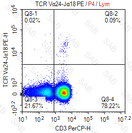 PE anti-human TCR Vα24-Jα18 (iNKT cell)