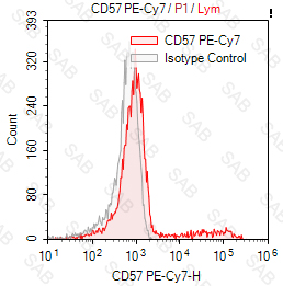 PE-Cy7 anti-human CD57