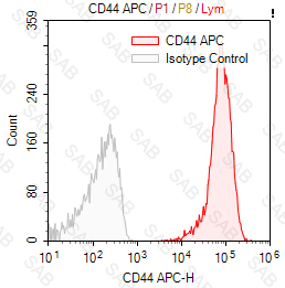 APC anti-human CD44