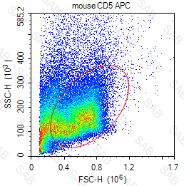 APC anti-mouse CD5