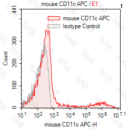 APC anti-mouse CD11c