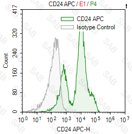 APC anti-mouse CD24