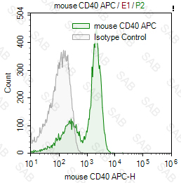 APC anti-mouse CD40