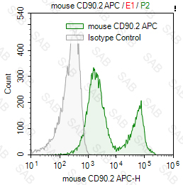 APC anti-mouse CD90.2