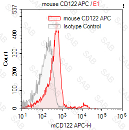 APC anti-mouse CD122