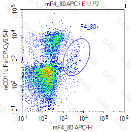 APC anti-mouse F4/80