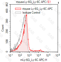 APC anti-mouse Ly-6G/Ly-6C