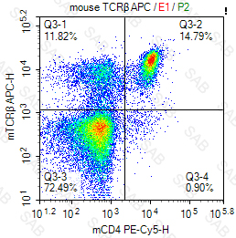 APC anti-mouse TCRβ