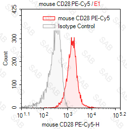 PE-Cy5 anti-mouse CD28