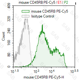 PE-Cy5 anti-mouse CD45RB