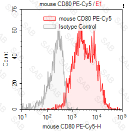 PE-Cy5 anti-mouse CD80