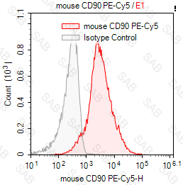 PE-Cy5 anti-mouse CD90