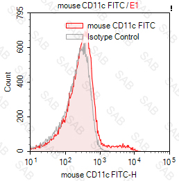 FITC anti-mouse CD11c