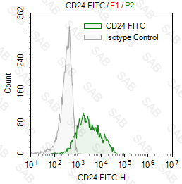 FITC anti-mouse CD24