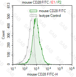 FITC anti-mouse CD28