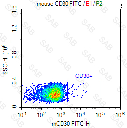 FITC anti-mouse CD30