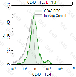 FITC anti-mouse CD40