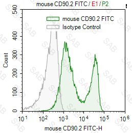 FITC anti-mouse CD90.2