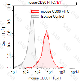 FITC anti-mouse CD90