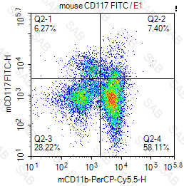 FITC anti-mouse CD117