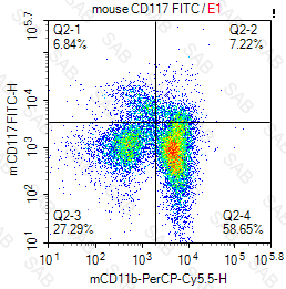 FITC anti-mouse CD117