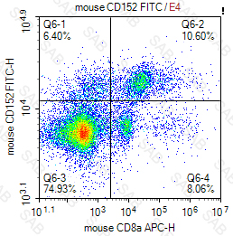 FITC anti-mouse CD152